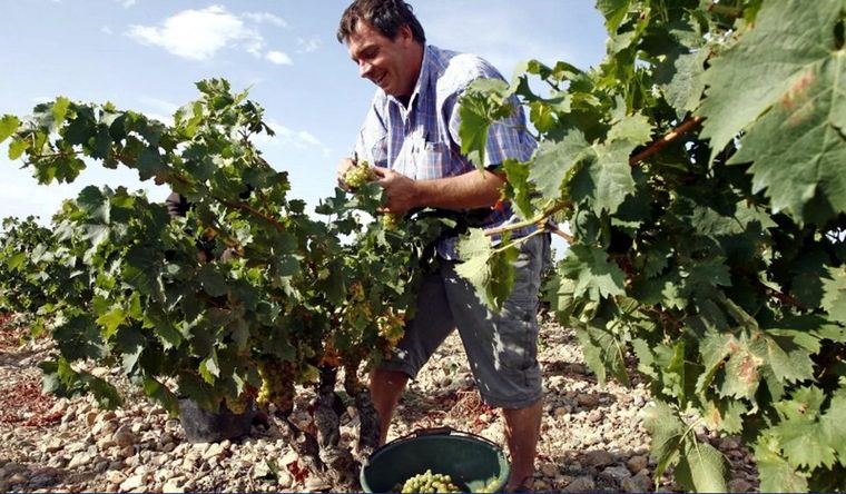Los franceses están en plena época de cosechas. Foto: Efe.
