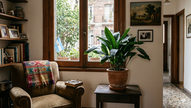 Las plantas que resisten a la calefacción. Fuente: IA Gemini. Las plantas que resisten a la calefacción. Fuente: IA Gemini.