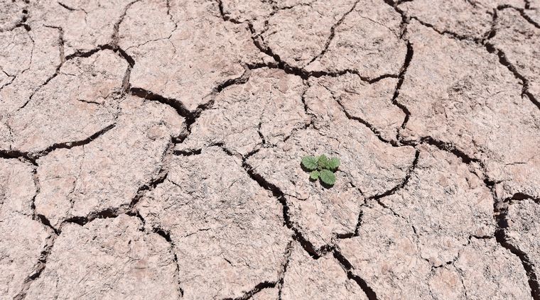 Sequía Mendoza vive una sequía extrema, pero también una pobreza de ideas para salir adelante.