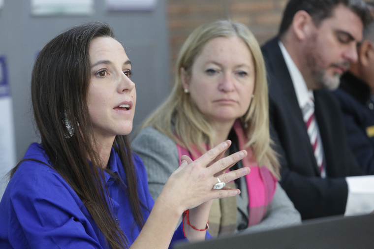 La ministra Rus expuso este martes ante la comisión de LAC de la Cámara de Diputados Foto: Gobierno de Mendoza