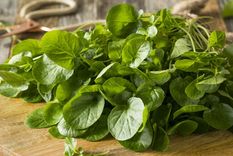 El berro es una verdura con numerosos nutrientes esenciales Foto: Shutterstock