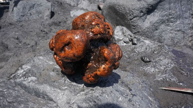 La piedra hallada en los intestinos de un cachalote en La Palma tenía un peso de 9 kg y unos 20 cm de diámetro Foto: BBC