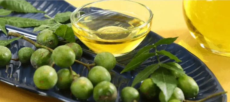 Foto: growertoday.com