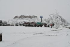 Foto: ALF PONCE MERCADO / MDZ