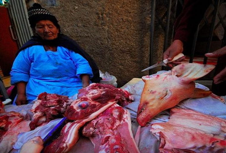 La Dirección de Zoonosis aconseja comprar en lugares seguros. Foto: Publicada en Diario Firmat