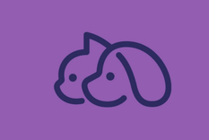 Test de personalidad Test de personalidad