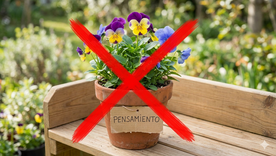 Hay una planta que florece en invierno Fuente. IA Gemini.