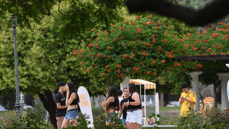 La máxima para este martes será de 35° en Mendoza. La máxima para este martes será de 35° en Mendoza.