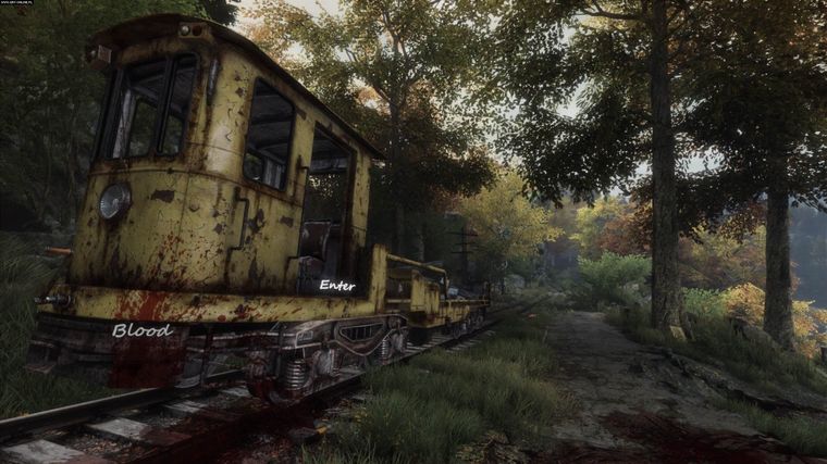 640460.jpg