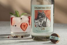 Otro gin le trae reconocimientos a la Argentina. Foto: Gentileza
