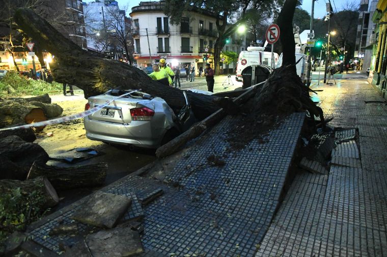 Varios autos fueron afectados por caída de árboles que provocó el temporal. Foto: Télam