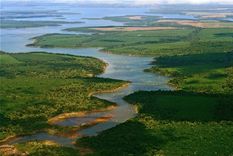 Los esteros del Iberá.
