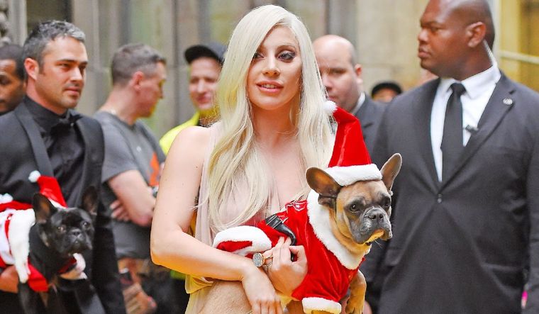 Los perros de Lady Gaga fueron secuestrados en el 2021