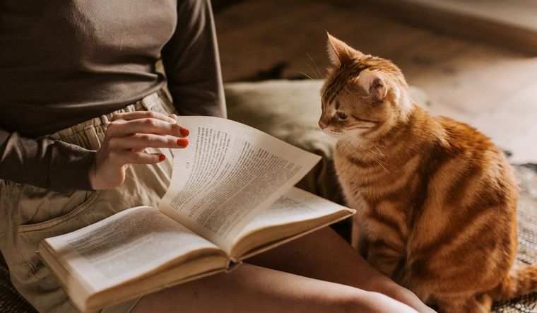 El parpadeo lento: el gesto que los gatos interpretan como señal de amistad. Foto: Archivo El parpadeo lento: el gesto que los gatos interpretan como señal de amistad. Foto: Archivo