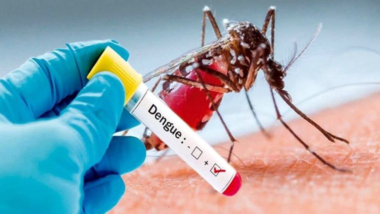 La vacuna contra el dengue no está disponible en Argentina.