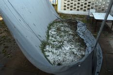 Foto: ALF PONCE MERCADO / MDZ