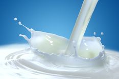 afirman que son tardios diagnosticos de alergia a la leche de vaca