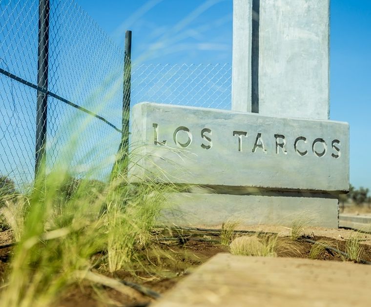 los tarcos los tarcos