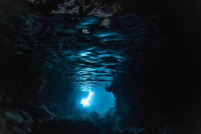 MDZol | A la zona abisal no llega la luz. Foto: GETTY IMAGES