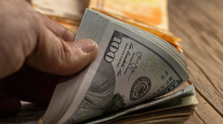 El Gobierno prepara el Presupuesto 2024: cómo se comportará el dólar blue ante estos datos Foto: Shutterstock