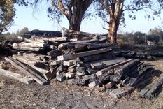 santa rosa: lo detuvieron para robar durmientes y venderlos