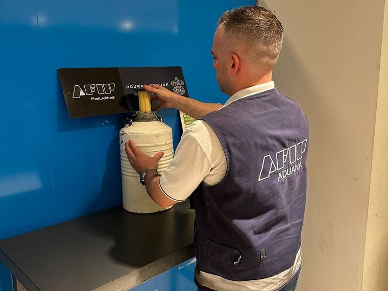 Un ciudadano peruano que llegó a Buenos Aires desde Uruguay llevaba el sémen en un recipiente térmico con la sustancia en su equipaje. Foto: Aduana / Afip