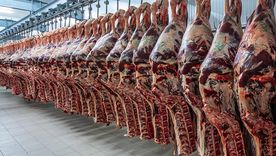 Las exportaciones de carne vacuna generan divisas por casi 3.900 millones de dólares, gracias al salto de los precios, pese a haberse exportado menos en toneladas.
