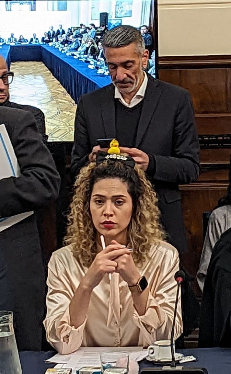 La diputada nacional mendocina durante el encuentro de comisiones este martes por la tarde. Foto: gentileza