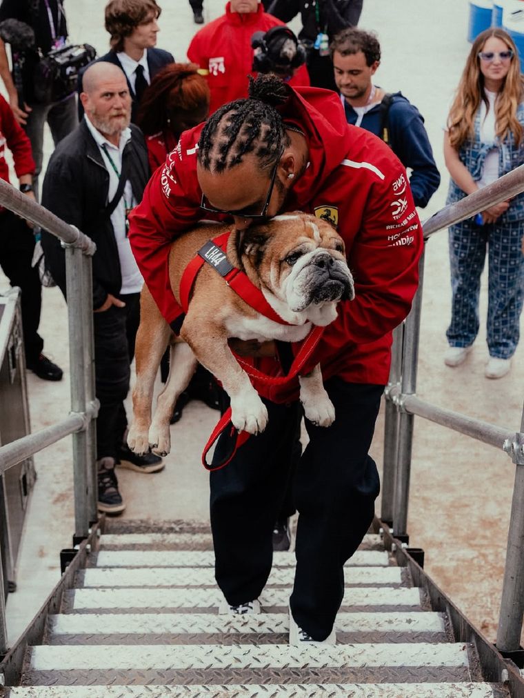 Lewis Hamilton recordó a su perro Roscoe. Lewis Hamilton recordó a su perro Roscoe.