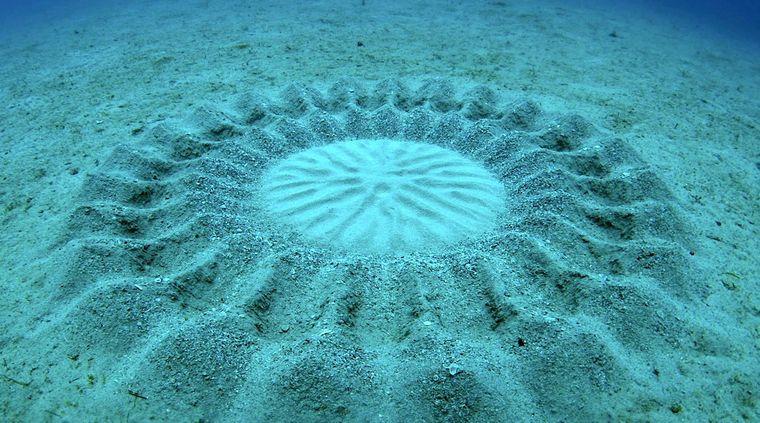 Foto: livescience.com