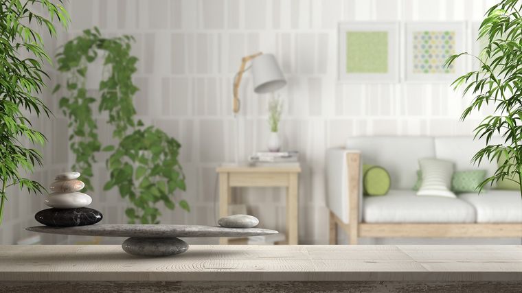 Estos son los 5 tips claves en tendencias decorativas para que tu hogar luzca renovado Foto: shuterstock