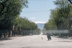 El fenómeno afectaría a gran parte del territorio mendocino, según el SMN Foto: Santiago Tagua/MDZ