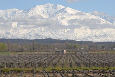 MDZol | El valle: un potencial turístico no explotado debidamente.