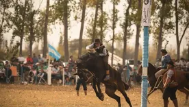 Las jineteadas es uno de los momentos más esperados de la Fiesta de la Ganadería. Las jineteadas es uno de los momentos más esperados de la Fiesta de la Ganadería.