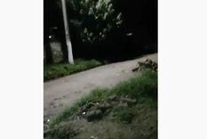 video: filmaron los gritos de la llorona en tucuman