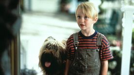 Daniel el travieso fue una de las películas más vista en la década de los 90.