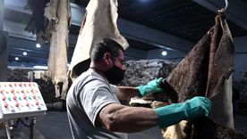 Juicios laborales: la buena noticia para Mendoza | Imagen ilustrativa Juicios laborales: la buena noticia para Mendoza | Imagen ilustrativa