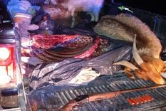 Secuestro de bovinos faenados y sin documentación. Foto: Archivo