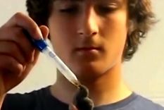 la maravillosa historia del rescate de un colibri la maravillosa historia del rescate de un colibri