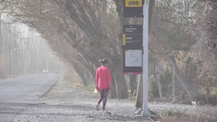 El viento Zonda se hará presente en las próximas horas en el llano mendocino Foto: Télam