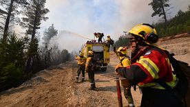 Incendios intencionales en la Patagonia: cuáles son lo puntos más afectados y en qué estado se encuentran