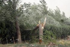 Foto: Gustavo Yañez