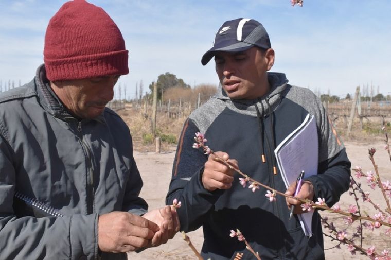 Encargados de finca podrán mejorar su gestión y comunicación con el equipo de trabajo. Foto: UNCuyo