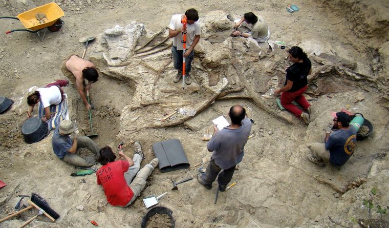 Los paleontólogos trabajan sobre fósiles. Foto: Efe.