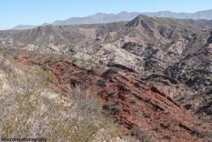 volvio a temblar en la zona mas movida de mendoza
