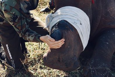 MDZol | Charlene en África. Foto: Instagram @hshprincesscharlene foto: Christian Sperka