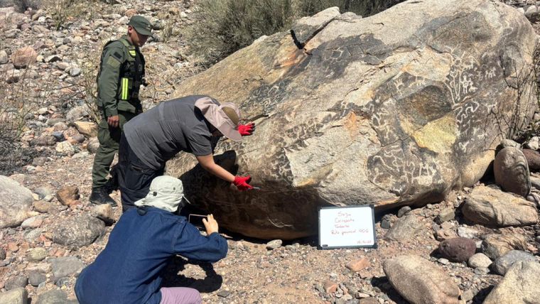 Los petroglifos fueron encontrados en un sitio histórico de San Juan. 