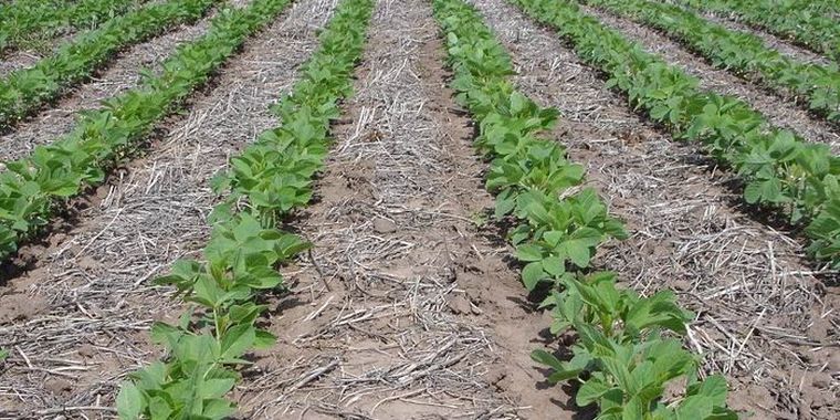 Foto: Gentileza / Eco Maternal