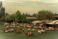 Una imagen de una increíble jornada en Susana Blabo Wines.