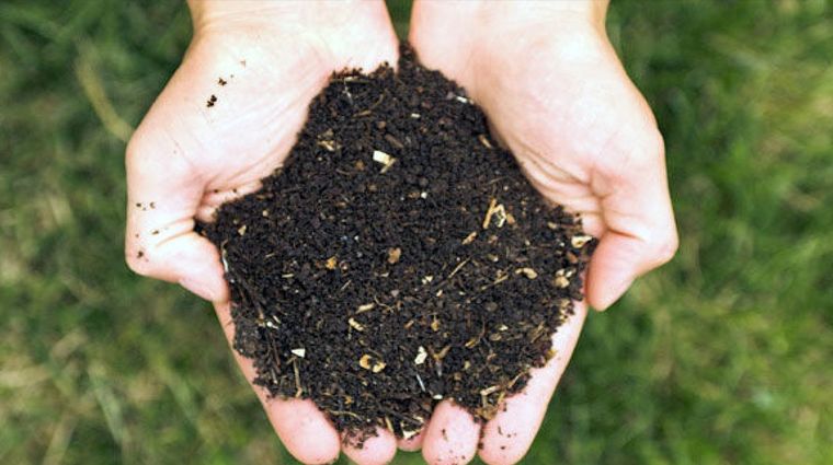 TIERRA Consigue tierra fértil para procurar la buena vida de las plantas Foto: ARCHIVO